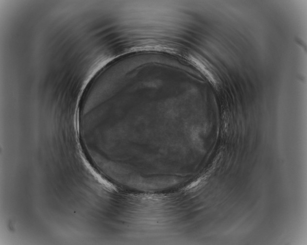 X0000095111084200801041155