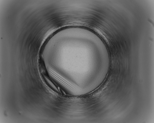 X0000095111085200801041155