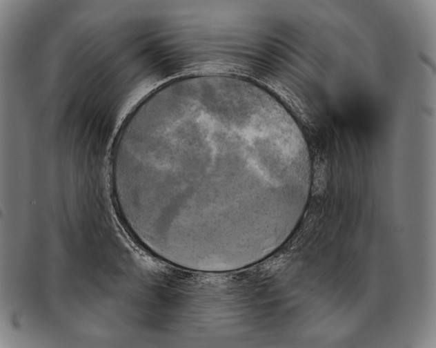 X0000095111086200801041155
