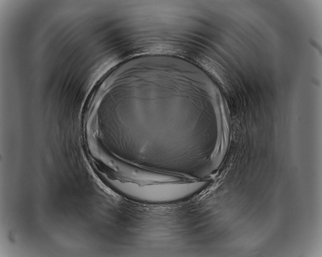 X0000095111087200801041155