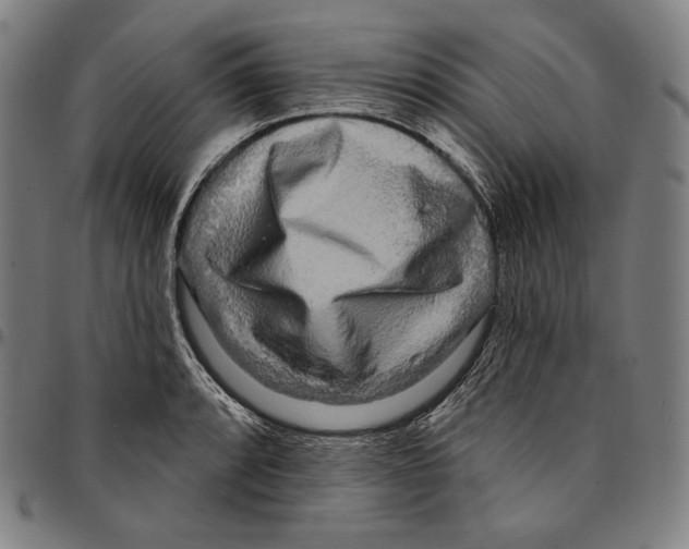 X0000095111088200801041155