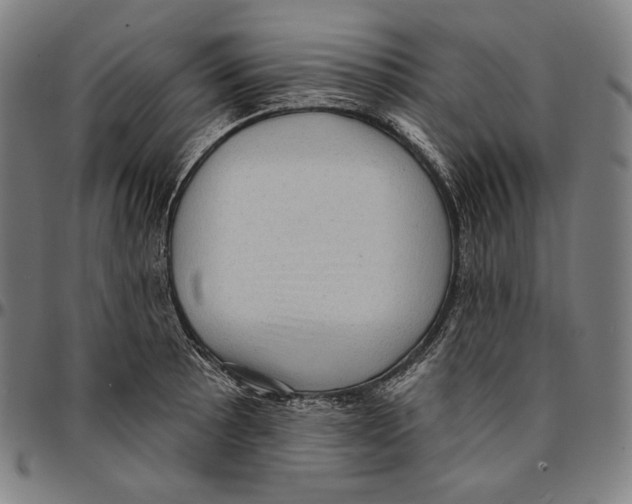 X0000095111089200801041155