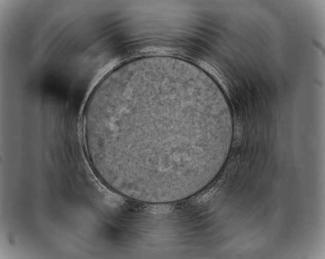 X0000095111090200801041155