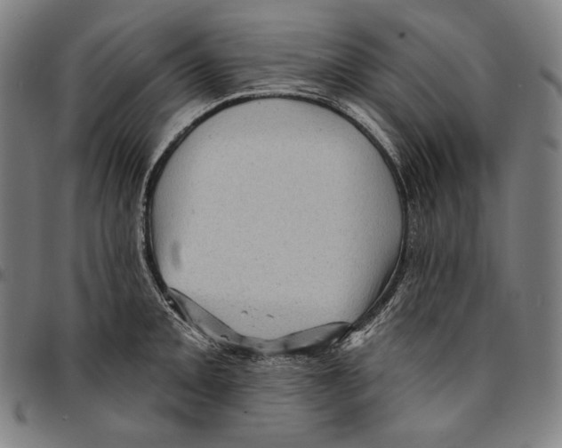 X0000095111093200801041155