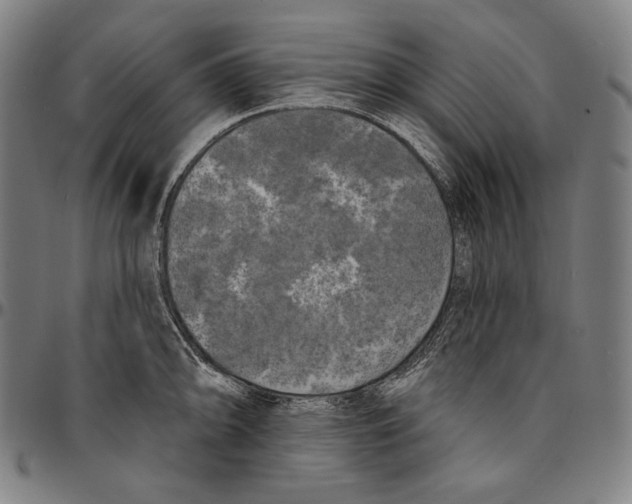 X0000095111094200801041155