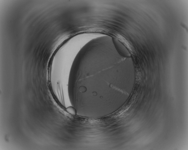 X0000095111095200801041155