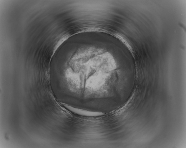 X0000095111097200801041155