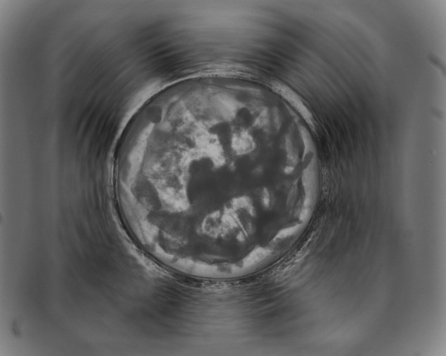 X0000095111099200801041155