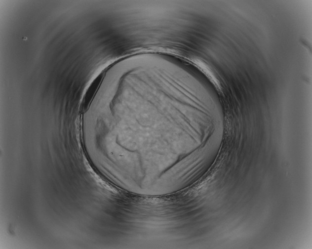 X0000095111100200801041155