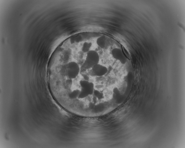 X0000095111103200801041154