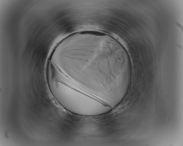 X0000095111104200801041154