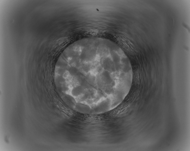 X0000095111105200801041154