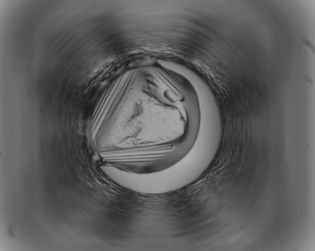 X0000095111110200801041154