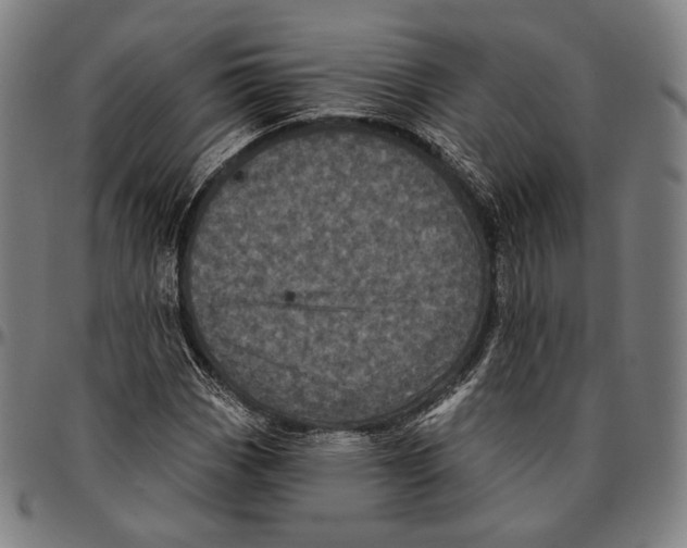 X0000095111113200801041154