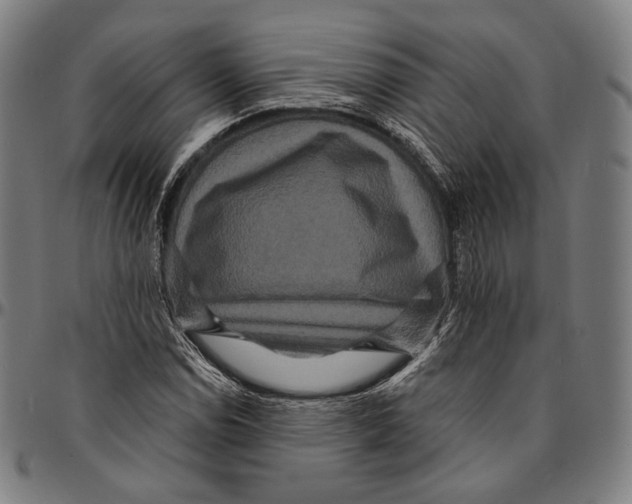 X0000095111114200801041154