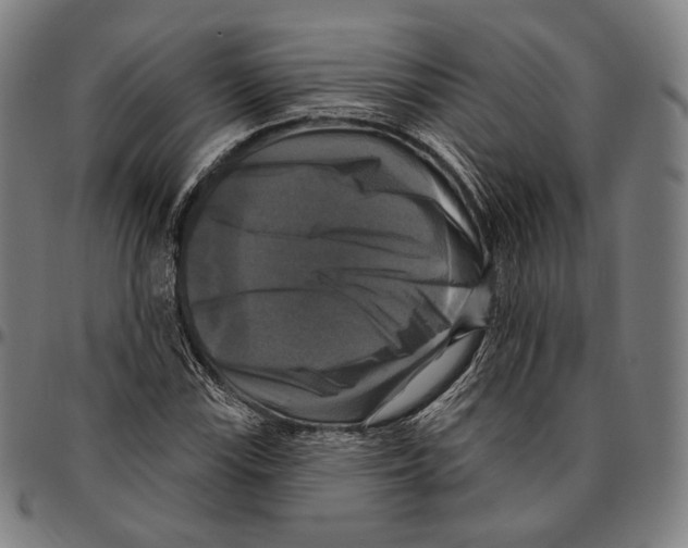 X0000095111115200801041154