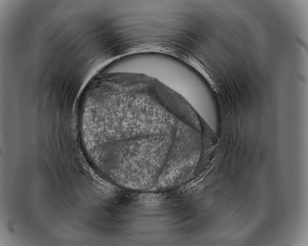 X0000095111116200801041154