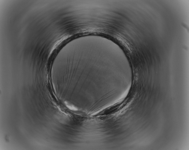 X0000095111117200801041154