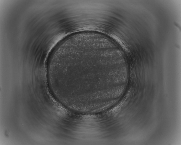 X0000095111118200801041154