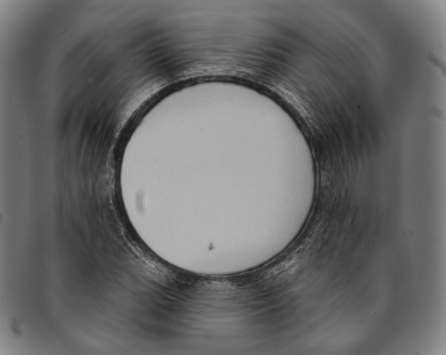 X0000095111119200801041154