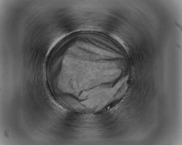X0000095111120200801041154