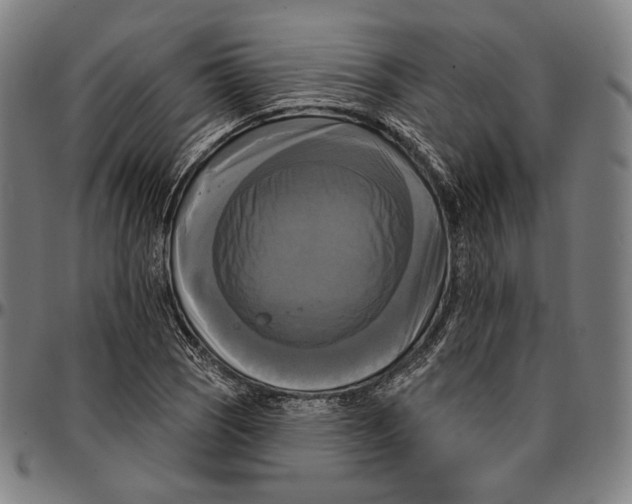 X0000095111121200801041154
