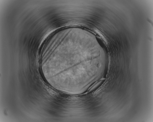 X0000095111124200801041154