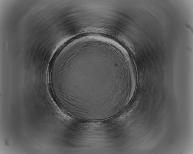 X0000095111125200801041154