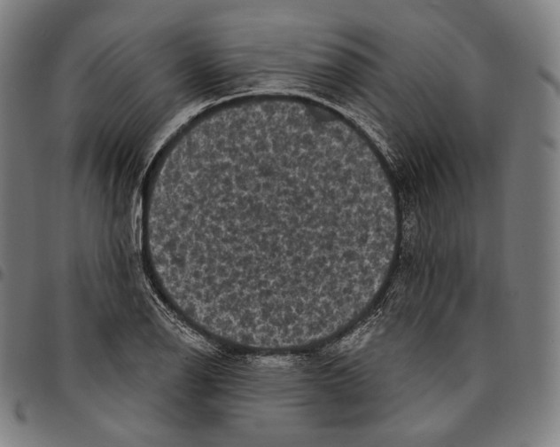 X0000095111126200801041154