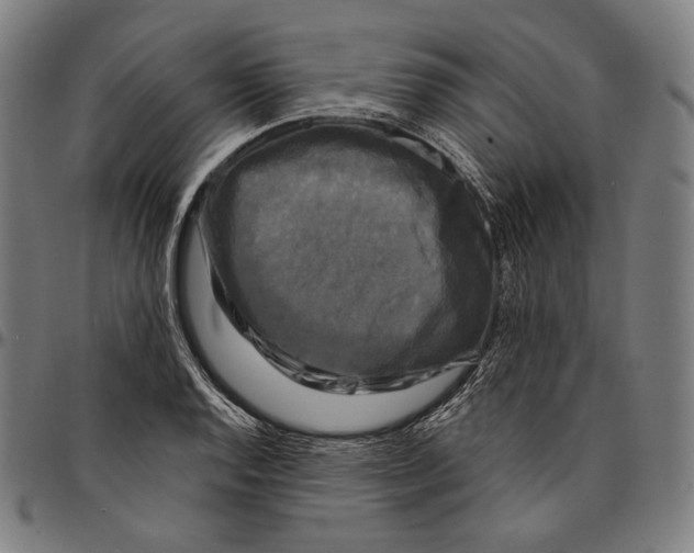 X0000095111128200801041154