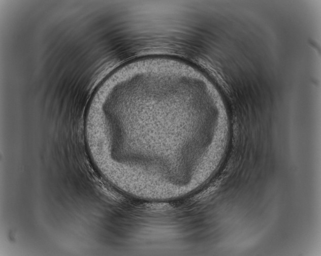 X0000095111129200801041154