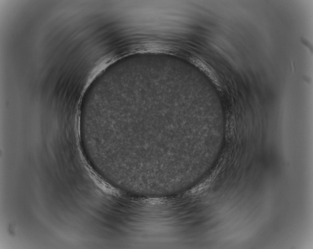 X0000095111130200801041154