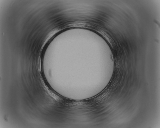 X0000095111131200801041154