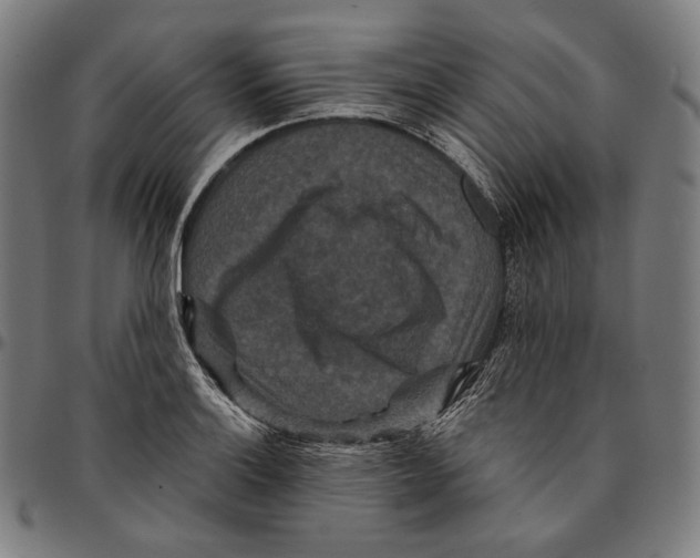 X0000095111132200801041154