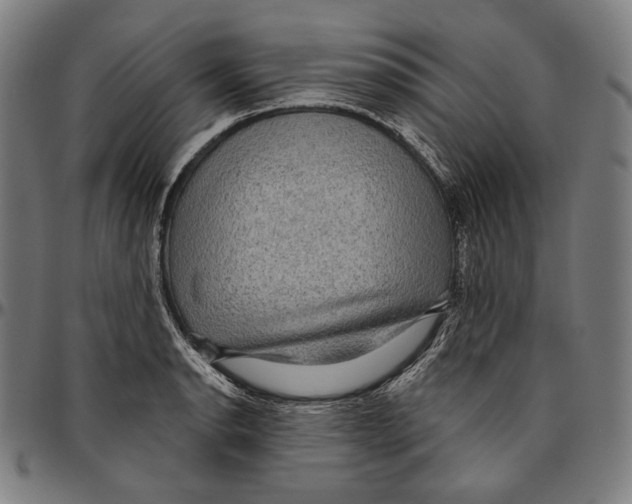 X0000095111134200801041154