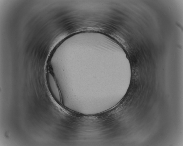 X0000095111135200801041154