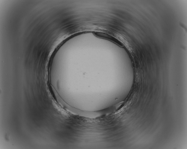 X0000095111136200801041154