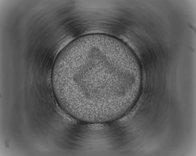 X0000095111137200801041154