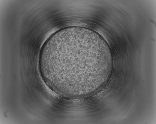 X0000095111139200801041154