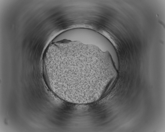 X0000095111140200801041154
