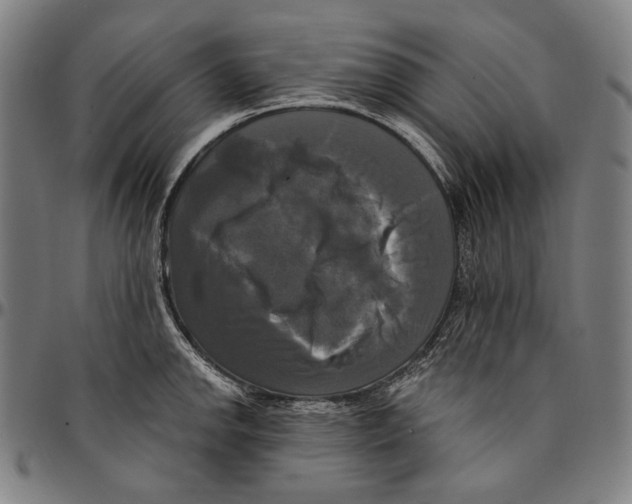 X0000095111142200801041154