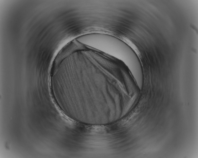 X0000095111144200801041154