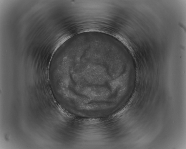 X0000095111145200801041154