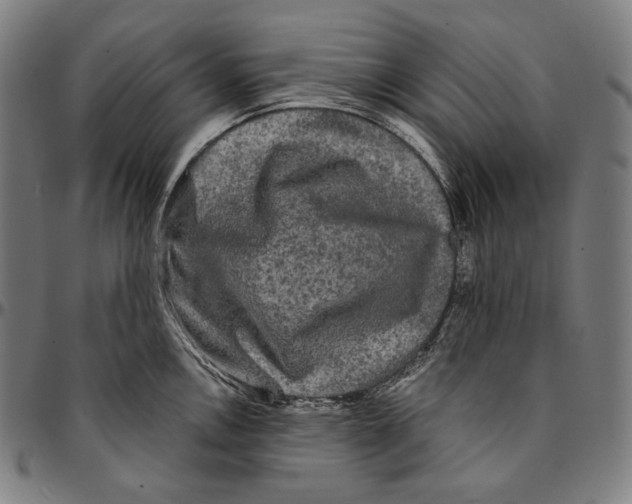 X0000095111146200801041154