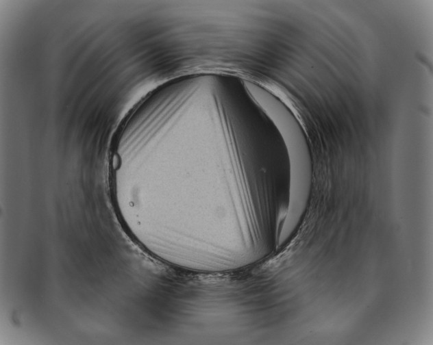 X0000095111147200801041154