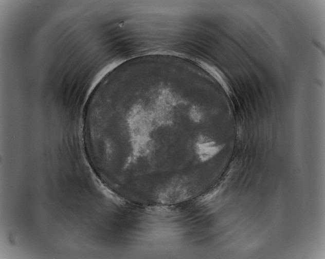 X0000095111149200801041154