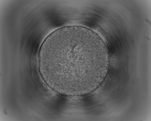 X0000095111150200801041154