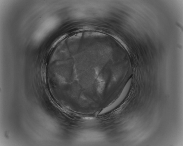 X0000095111151200801041154