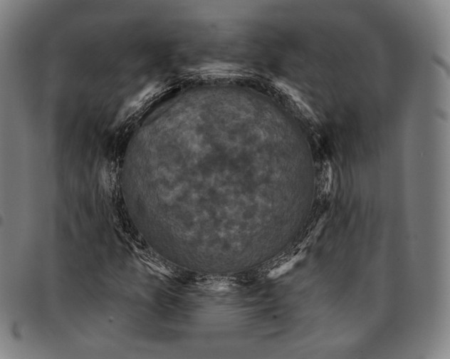 X0000095111157200801041154