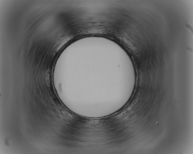 X0000095111162200801041154